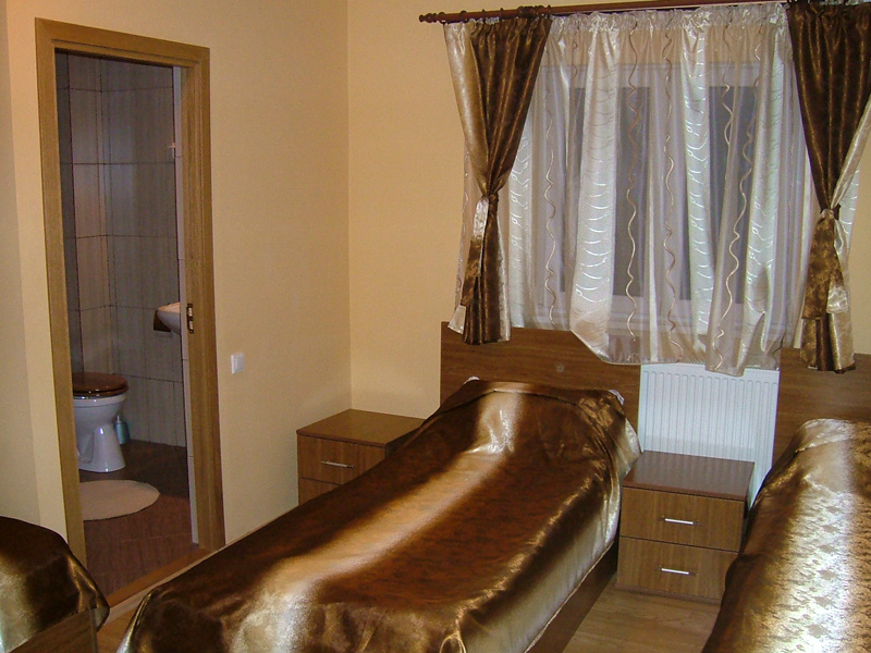 Rooms and bathrooms at Pensiunea Șoimul