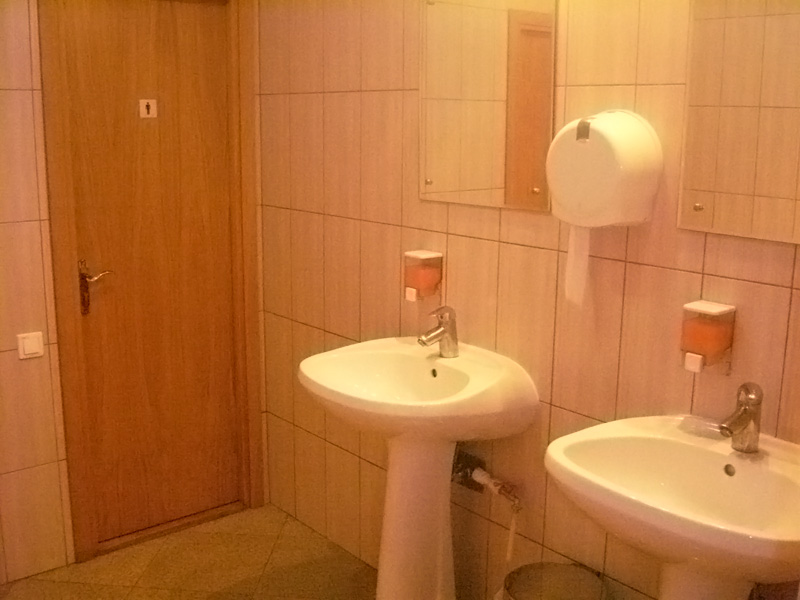 Rooms and bathrooms at Pensiunea Șoimul