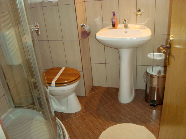 Rooms and bathrooms at Pensiunea Șoimul