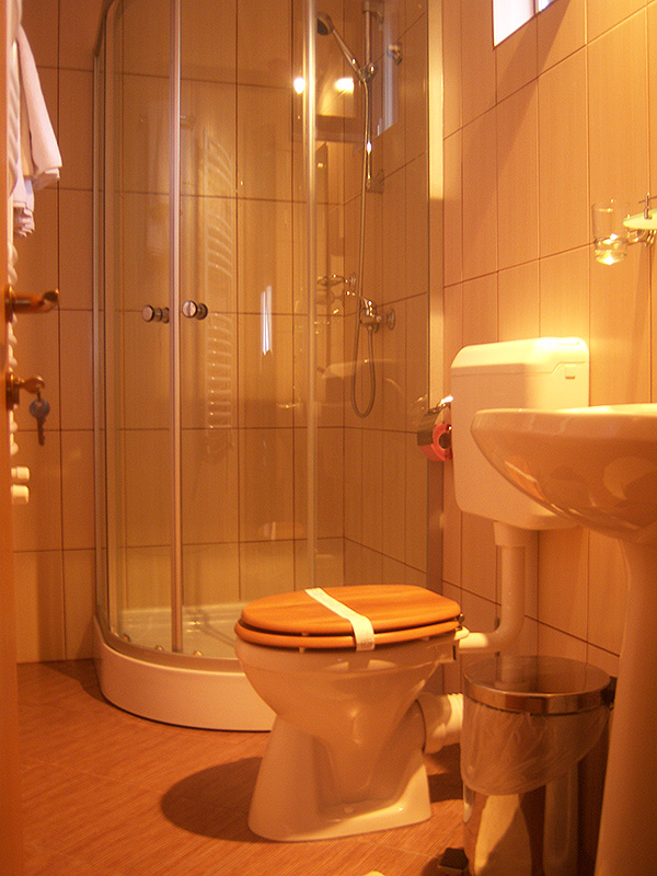 Rooms and bathrooms at Pensiunea Șoimul